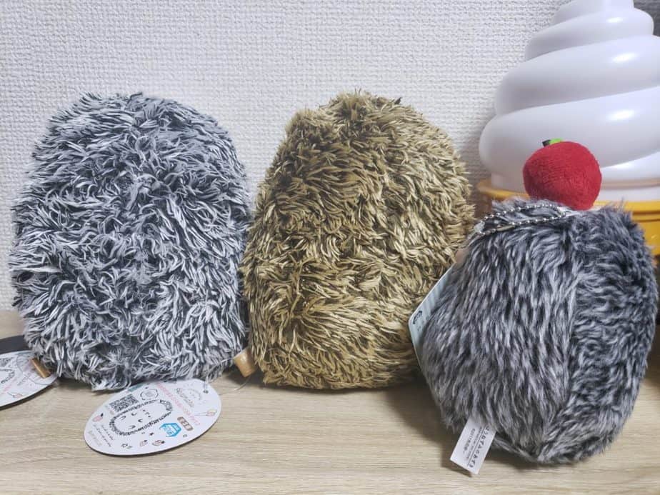 カプとれハリネズミ